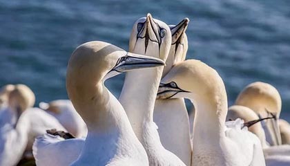 华体会团队-广东宏远从追到9分到崩盘20分：那一波换人，把胜利换给了辽宁